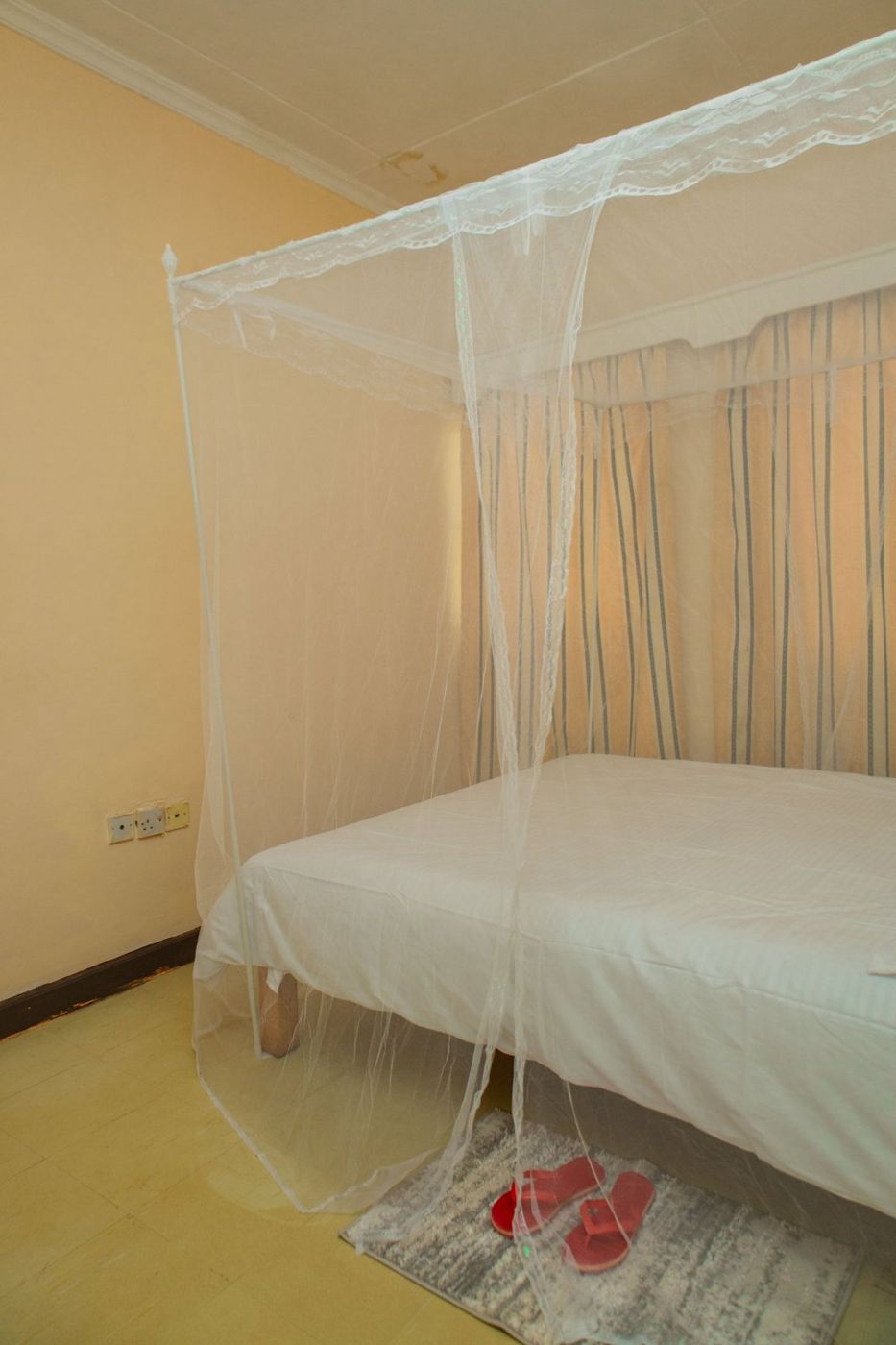 Deluxe room with a large bed and mosquito net